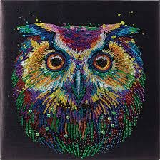 Crystal Art Framed Canvas Kit - Nocturnal Wonder