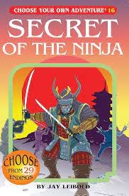 Choose Your Own Adventure: Secret of the Ninja