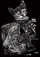 Engraving Art - Silver Mini: Tabby Cat