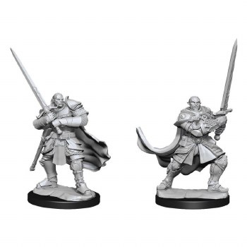 Dungeons &amp; Dragons Nolzur's Marvelous Minatures: Half-Orc Male Paladin