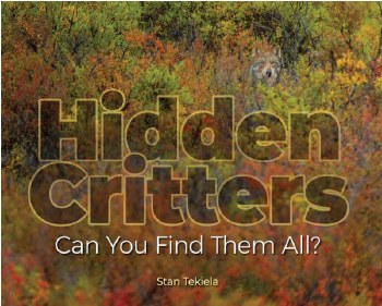 Hidden Critters