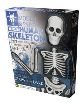 Human Skeleton Kit