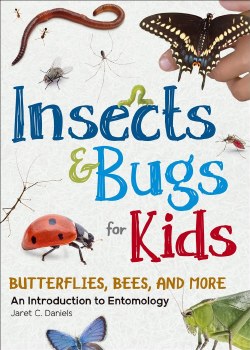 Insects &amp; Bugs for Kids