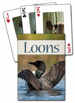 Loons Playing Cards
