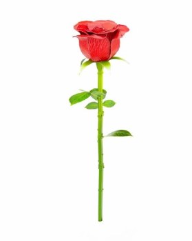 Metal Earth Red Rose