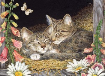 Morning Snooze 35 Piece Tray Puzzle