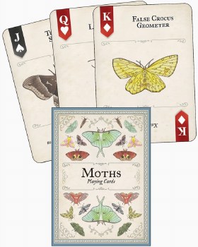 Moths Playing Cards