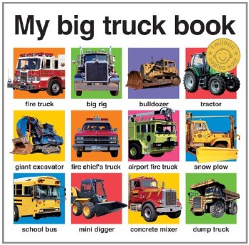 My Big Truck Book