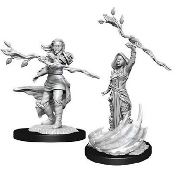 Dungeons &amp; Dragons Nolzur's Marvelous Miniatures: Human Female Druid