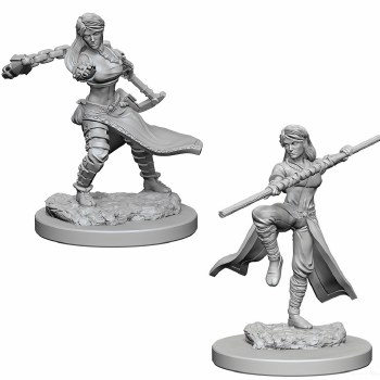 Dungeons &amp; Dragons Nolzur's Marvelous Miniatures: Human Female Monk
