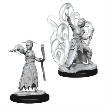 Dungeons &amp; Dragons Nolzur's Marvelous Miniatures: Human Female Warlock