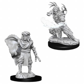Dungeons &amp; Dragons Nolzur's Marvelous Miniatures: Human Male Druid