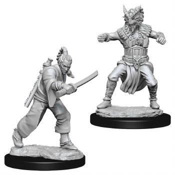 Dungeons &amp; Dragons Nolzur's Marvelous Miniatures: Human Male Monk