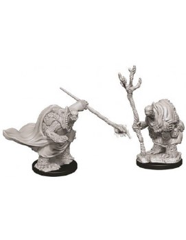 Dungeons &amp; Dragons Nolzur's Marvelous Miniatures: Tortle Adventurers