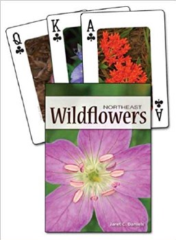 Wildflowers of the Northeast Playing Cards