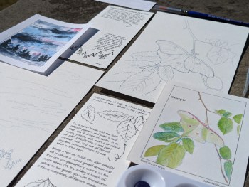 Paint the PA Wilds Watercolor Kit: Dark Skies &amp; Luna Moth