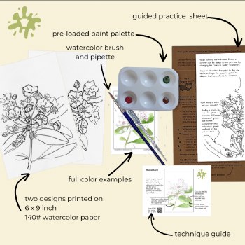 Paint the PA Wilds Watercolor Kit: Mountain Laurel