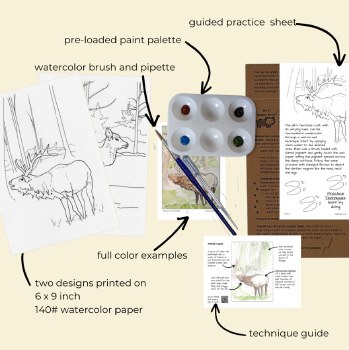Paint the PA Wilds Watercolor Kit: Wild Elk