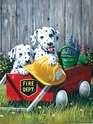 Paint by Number Junior: Fire Waggin'