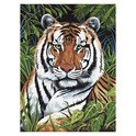 Paint by Number Junior: Tiger in Hiding