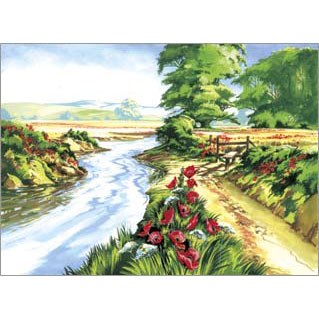 Paint by Number: Poppy Field