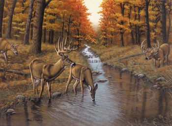 Paint by Number: Symond's Creek