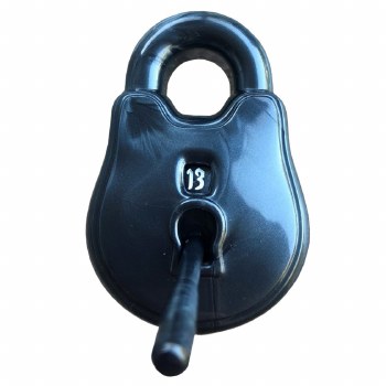 Poly Dice Hero: The Rogue d20 Lock &amp; Pick - Cold Iron and Ice White