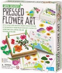 Green Creativity: Pressed Flower Art