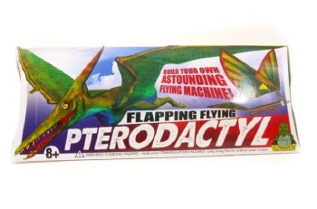 Pterodactyl Flying Machine