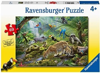 Rainforest Animals 60pc