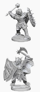D&amp;D HD Minis: Dragonborn Paladin (Male)
