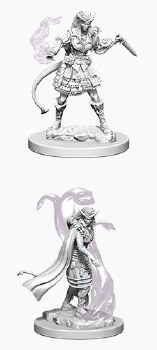 D&amp;D HD Minis: Tiefling Sorcerer (Female)