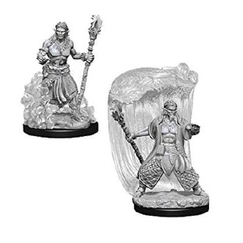 D&amp;D HD Minis: Water Gensai Driud