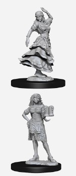 Pathfinder HD Minis: Bartender/Dancing Girl