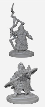 Pathfinder HD Minis: Dwarf Sorcerer (Male)