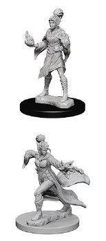 Pathfinder HD Minis: Elf Sorcerer (Female)