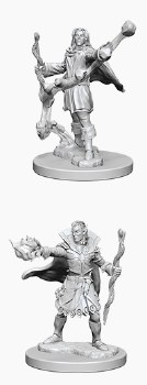 Pathfinder HD Minis: Elf Sorcerer (Male)