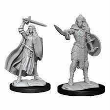Pathfinder HD Minis: Female Human Champion
