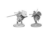 Pathfinder HD Minis: Human Female Paladin