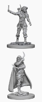 Pathfinder HD Minis: Human Rogue (Female)