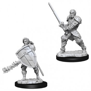 Pathfinder HD Minis: Human Fighter (Male)