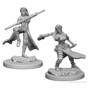 Pathfinder HD Minis: Human Male Monk