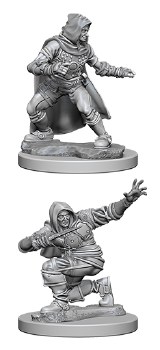 Pathfinder HD Minis: Human Rogue (Male)