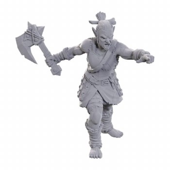 Pathfinder HD Minis: Lifeleecher Brawler