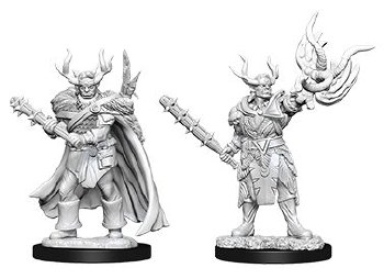 Pathfinder HD minis: Male Half-Orc Druid