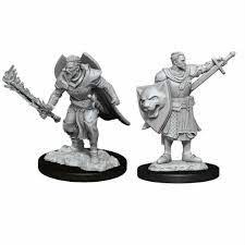 Pathfinder HD Minis: Male Human Champion
