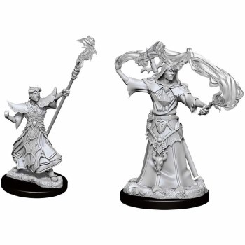 Pathfinder HD minis: Male Human Sorcerer