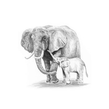 Sketching Made Easy - Mini: Elephant &amp; Baby