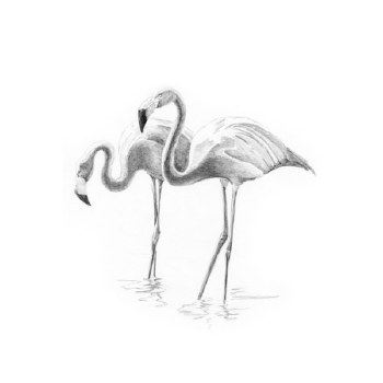 Sketching Made Easy - Mini: Flamingoes