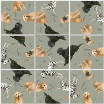 Squzzle: Dogs